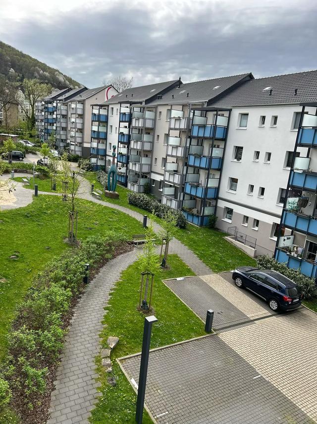 《 再见,德国 》