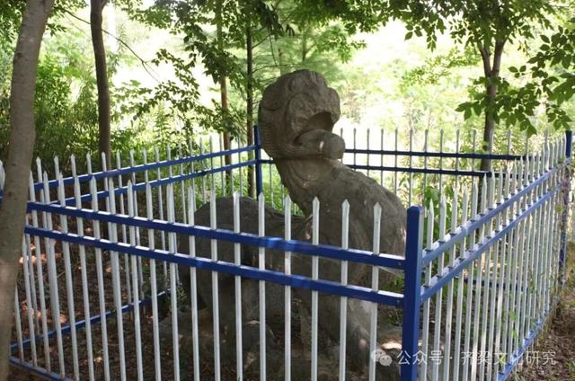 丹阳齐梁石刻实地踏勘纪实·丹北镇篇·金王陈南齐失名陵石刻