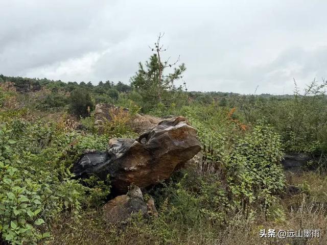 徒步石林蓑衣山、赏水上石林，遇降雨淅淅沥沥，收获特别的体验