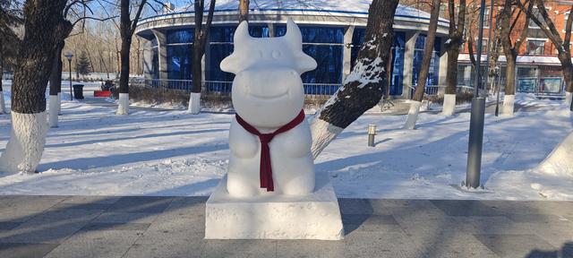【组图】北秀公园大雪人，寒冬打卡乐缤纷