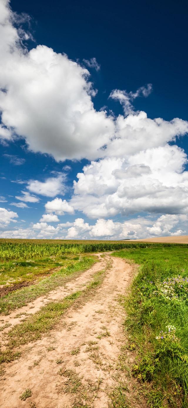 手机壁纸|iOS自然风光美景