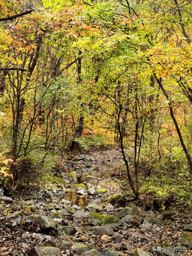 2025辽宁赏秋之旅日记(2)——游览丹东蒲石河森林公园