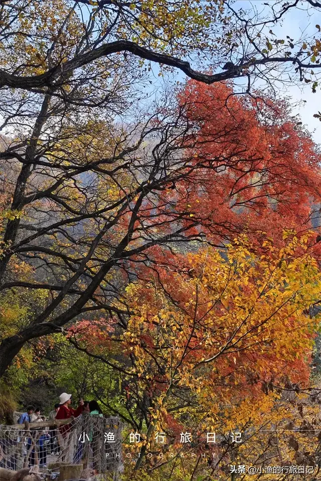 红叶、玻璃湖、悬空栈道！陕西秦岭绝美赏秋地，又到一年最美时