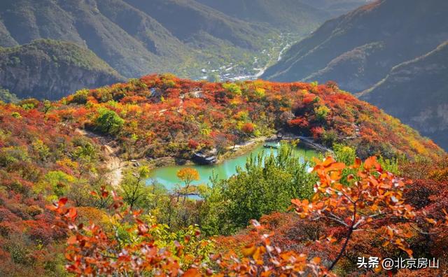 从“初见”到“浓烈”！坡峰岭红叶全景时间表■■■□□□□