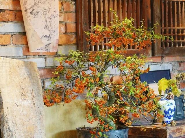 这个冬日去哪儿玩？看这篇就够啦！