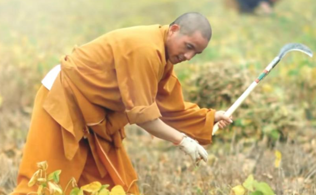 释永信做梦也想不到，释印乐真实人品被扒后，少林寺再迎五大变化