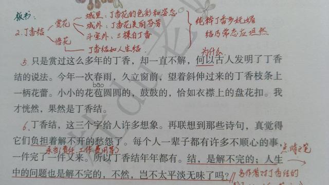 六年级上册第二课《丁香结》，资深教师手写笔记，帮助学生学语文