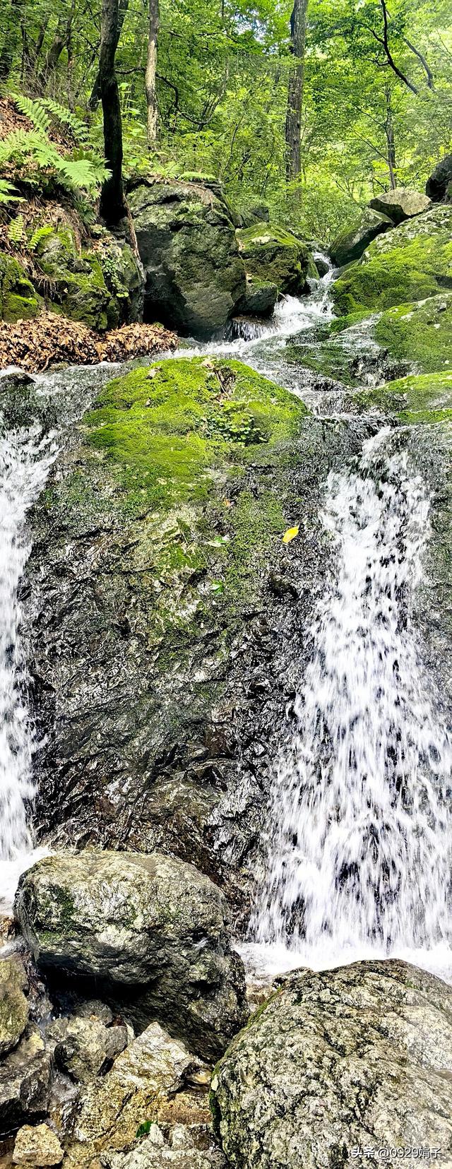 只见山水，不恋家