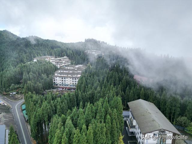 四川行(73)什邡红枫岭徒步到钟鼎寺