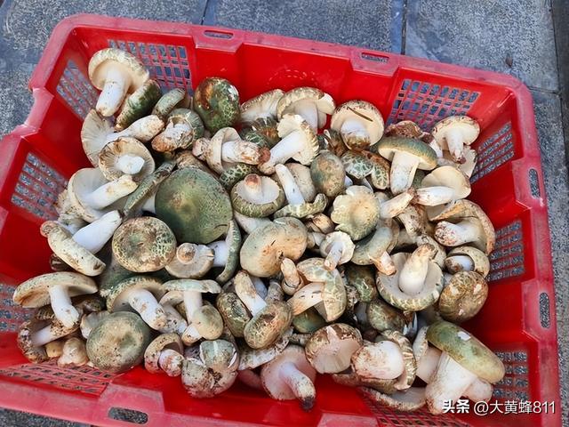 认识大美河南的每个县——第十波：宜阳
