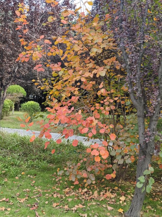 徒步穿越西流湖，赏秋正当时