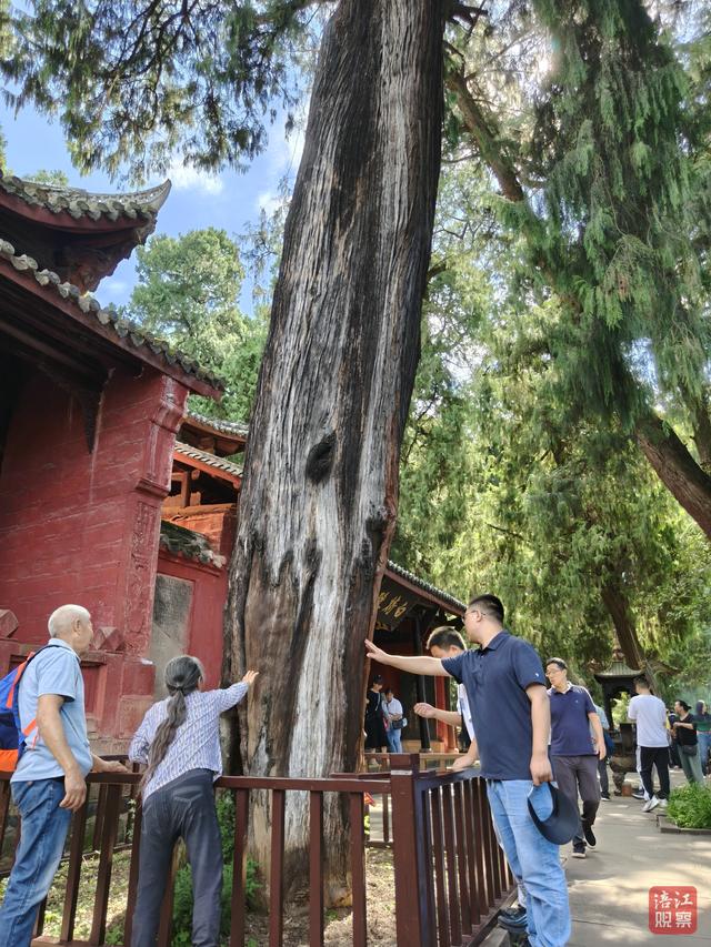“双节”假期，看绵阳的“热力地图”