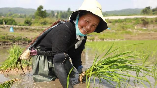 探秘“三遗产” | 人与自然长期互动的完美产物