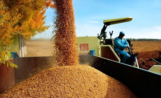 终于低下高贵头颅，美国公开表示：若中国要大豆，希望先找美国