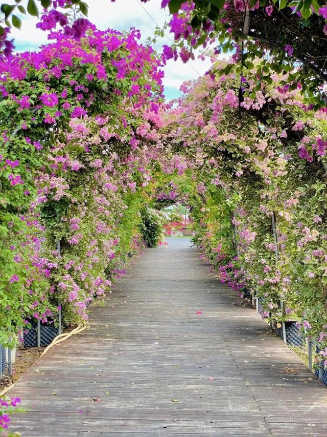 厦门又一网红出片点位，上新！美成偶像剧取景地→