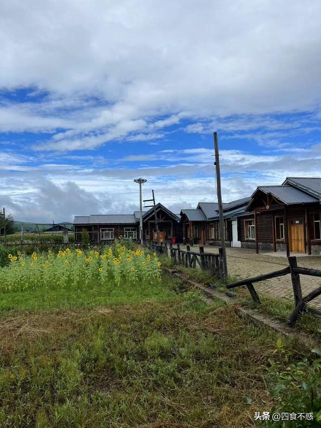 夏季想避暑，去漠河吧