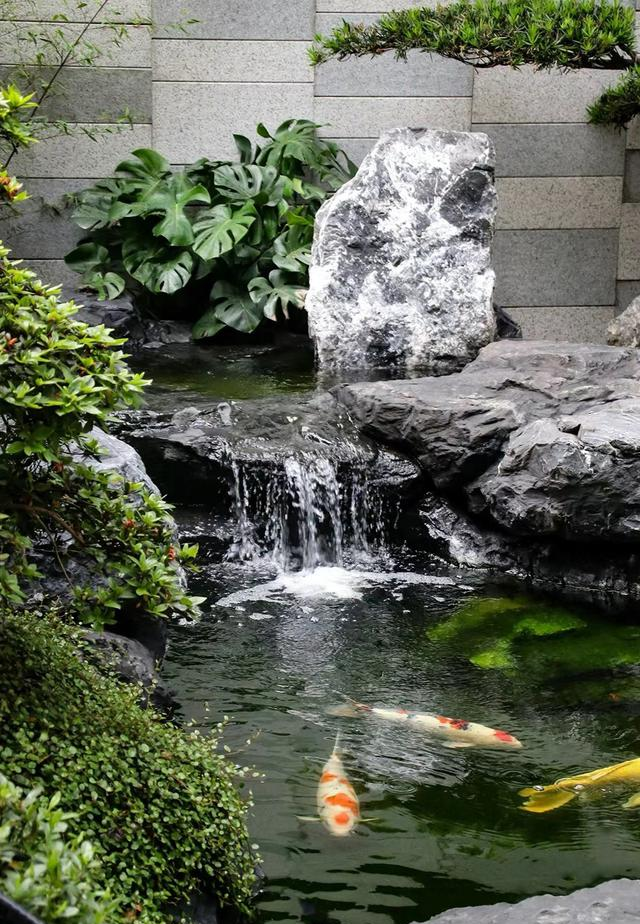 院子越小越要挖水池？没错！这就是“留白”的智慧！