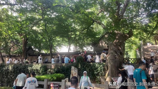 秋游青岛崂山——2025年8月17日至21日照片全记录