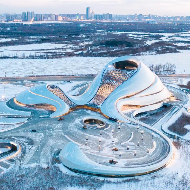 小雪|哈尔滨拍照氛围感,拿捏!