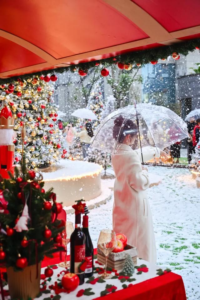 重庆人注意！这些地方将迎今冬“第一场雪”