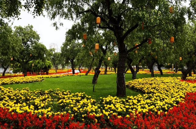 我是成都人，刚从甘肃刘家峡回来，憋了 6 个疑问不吐不快