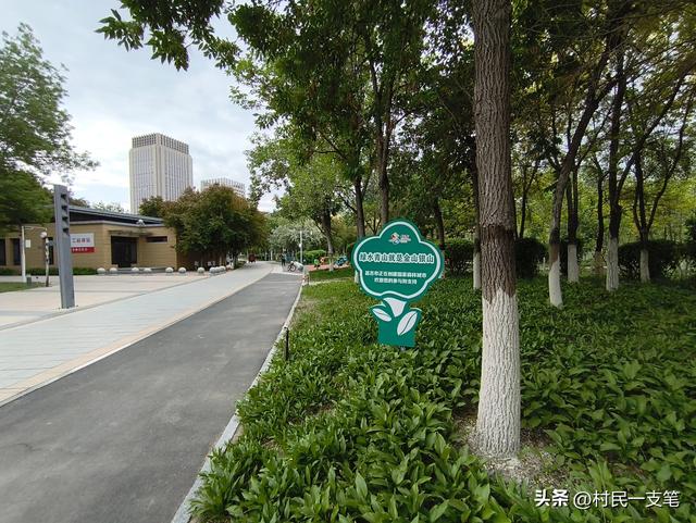 公园绿树成荫，路边花草芬芳，行人休闲漫步，享受快乐时光