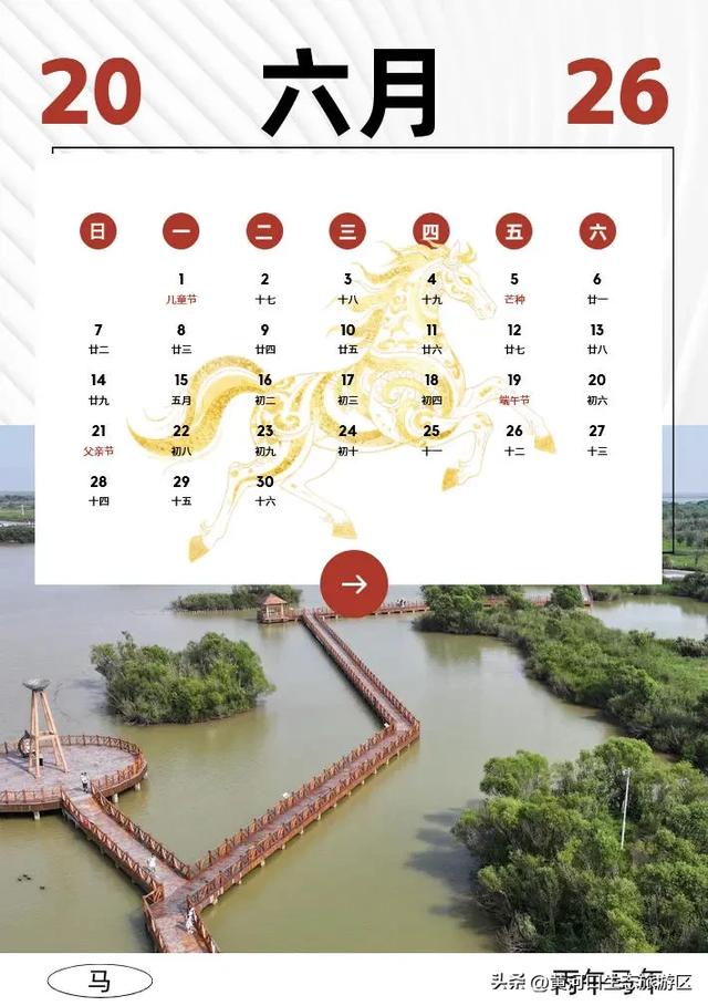 【黄河口生态旅游区】2026新春马年日历来袭啦!