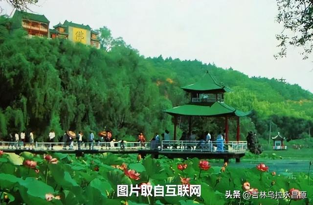 赏吉林北山荷花绽放时，已然不见湖心亭
