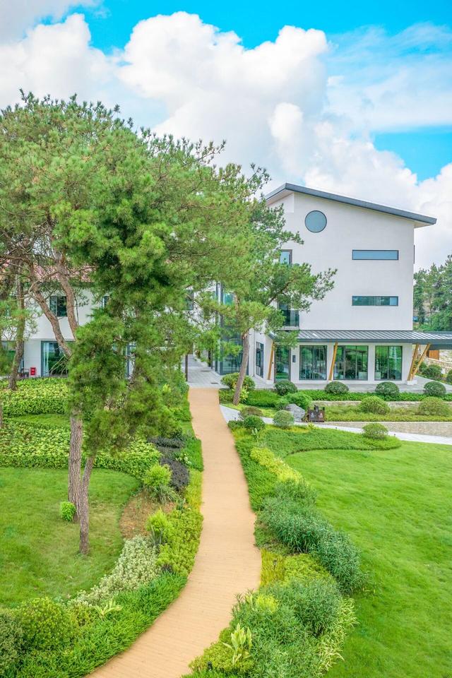 🤩收藏！春节拍大片，就来黄陂『下集』