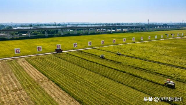 儋眉城市联动宣传特别报道丨东坡文化泽后世 “CP”双城谱新韵