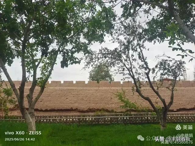 新疆库车:穿越历史的文化之旅|申艳娟