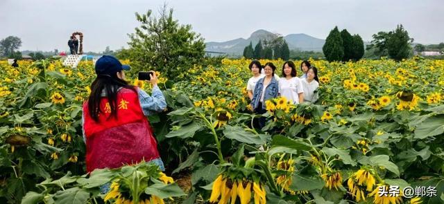 向阳花开 相约复兴 | 东高河“免费五件套”：景美情更暖
