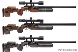 2024精选12款现代最优秀气步枪（八）FX King图片