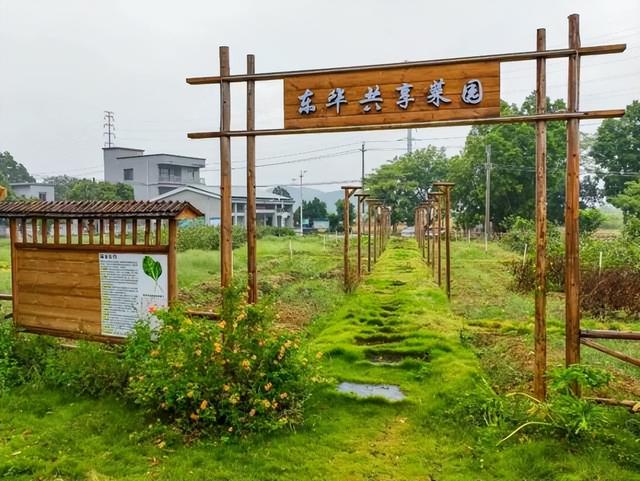 文商旅体，大旺一站配齐！