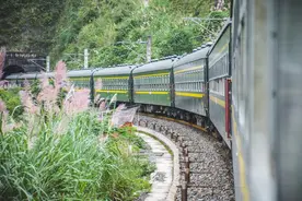 为啥宁坐24小时绿皮火车，也不坐几小时高铁，内行人透露实情。图片