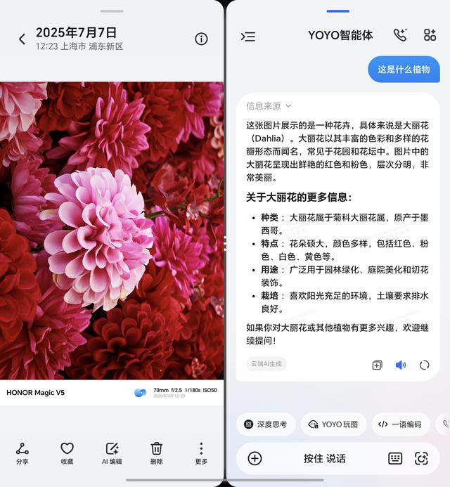 更懂你的AI助手：荣耀Magic V5 AI功能评测