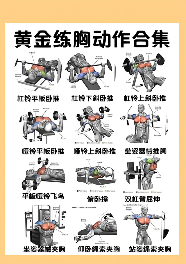 中老年人健身，为什么更需要增肌锻炼？