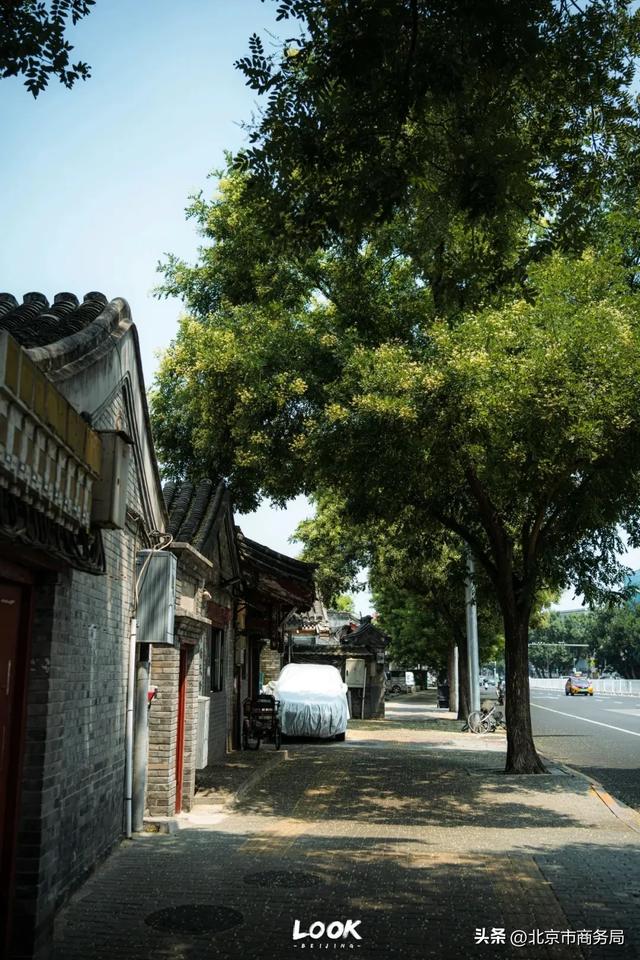 北京最好逛的一条街，强烈建议每个人空着肚子来！