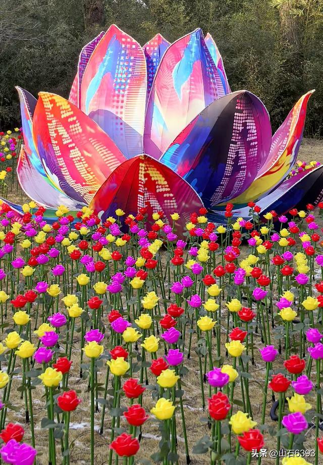 新华社原军事记者陶俊峰泉城美拍——筹备中的迎春花灯