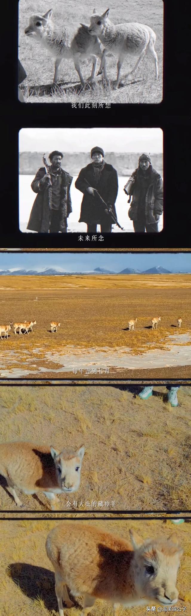 32岁杨紫又“变脸”，皮肤紧致一脸高原红，重回“锦觅”颜值巅峰