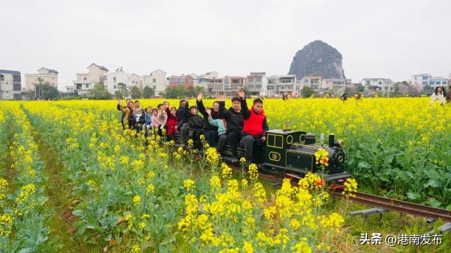 不负花期，不负春光，山边等你