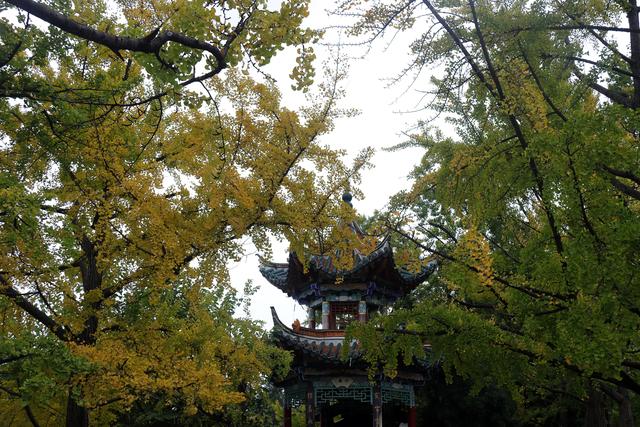 昆明的空中栈道建设是一个极好的构思