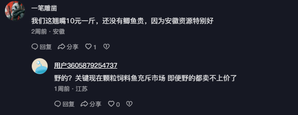 100多斤的翘嘴鱼 100多斤的翘嘴鱼多少钱