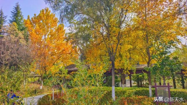 摄影师看麦积 | 马跑泉公园冬日风光美