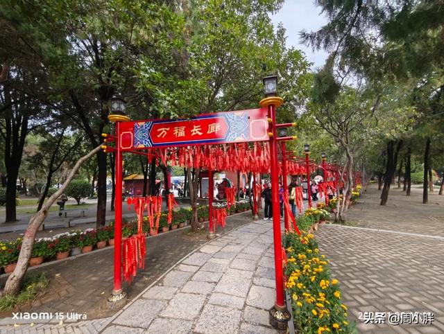 15分钟617人登顶龙亭大殿,传统观光景区迈向沉浸夜游的关键一步