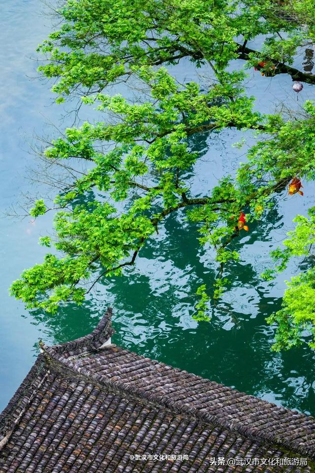 直冲30℃，咸宁请客，出来玩！