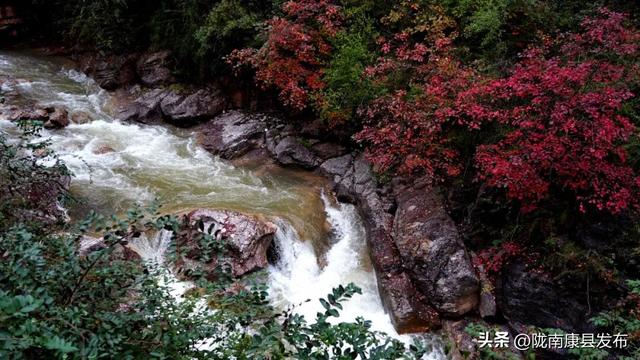 红叶遍山野，秋韵满望关