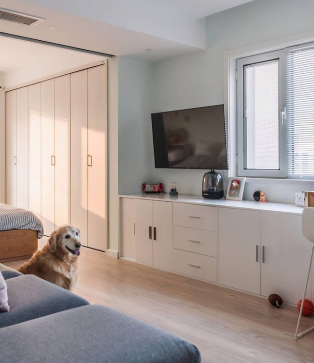 38平米的小家，客厅餐厅衣帽间卧室一个不少，一人一汪住超舒服