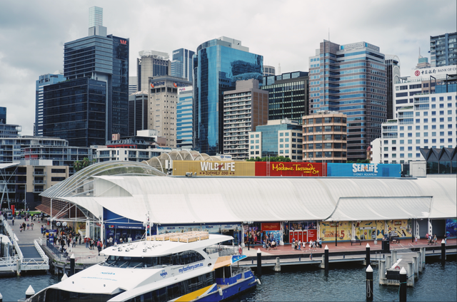 今年冬天，我想去这里过夏天
