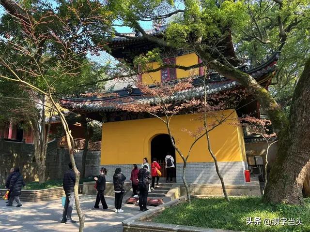 东海之滨——海天佛国普陀山
